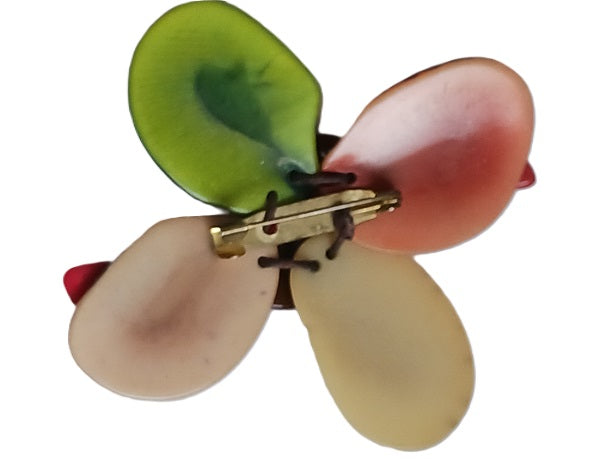 Broche en Tagua