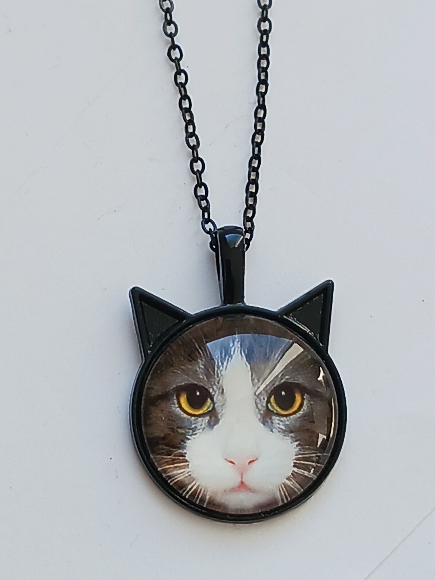 Collier chat
