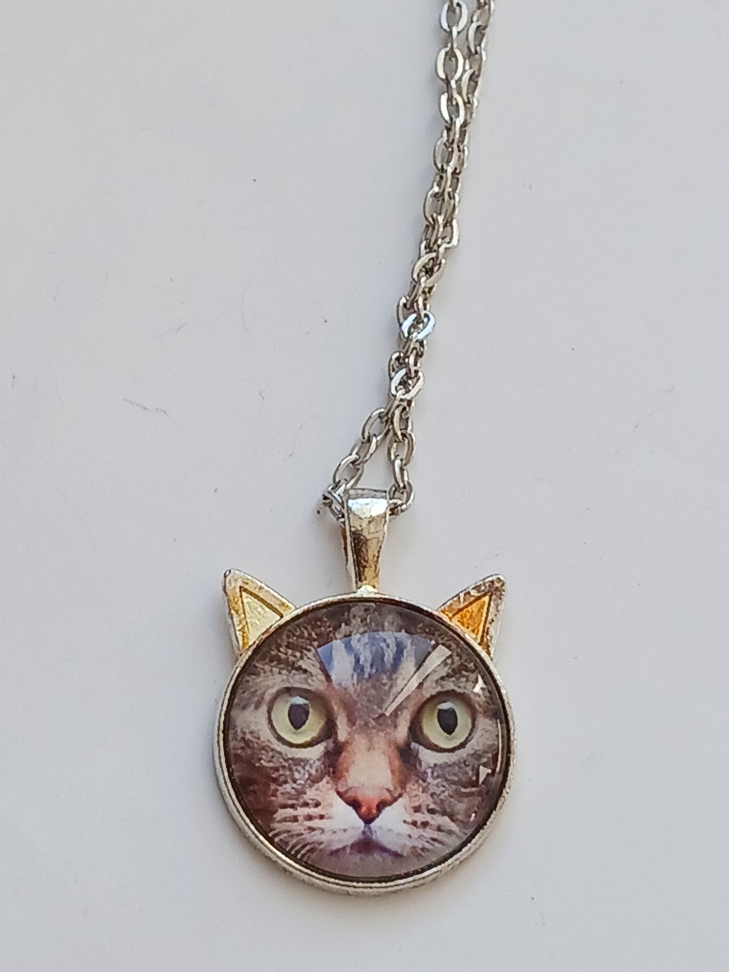 Collier chat