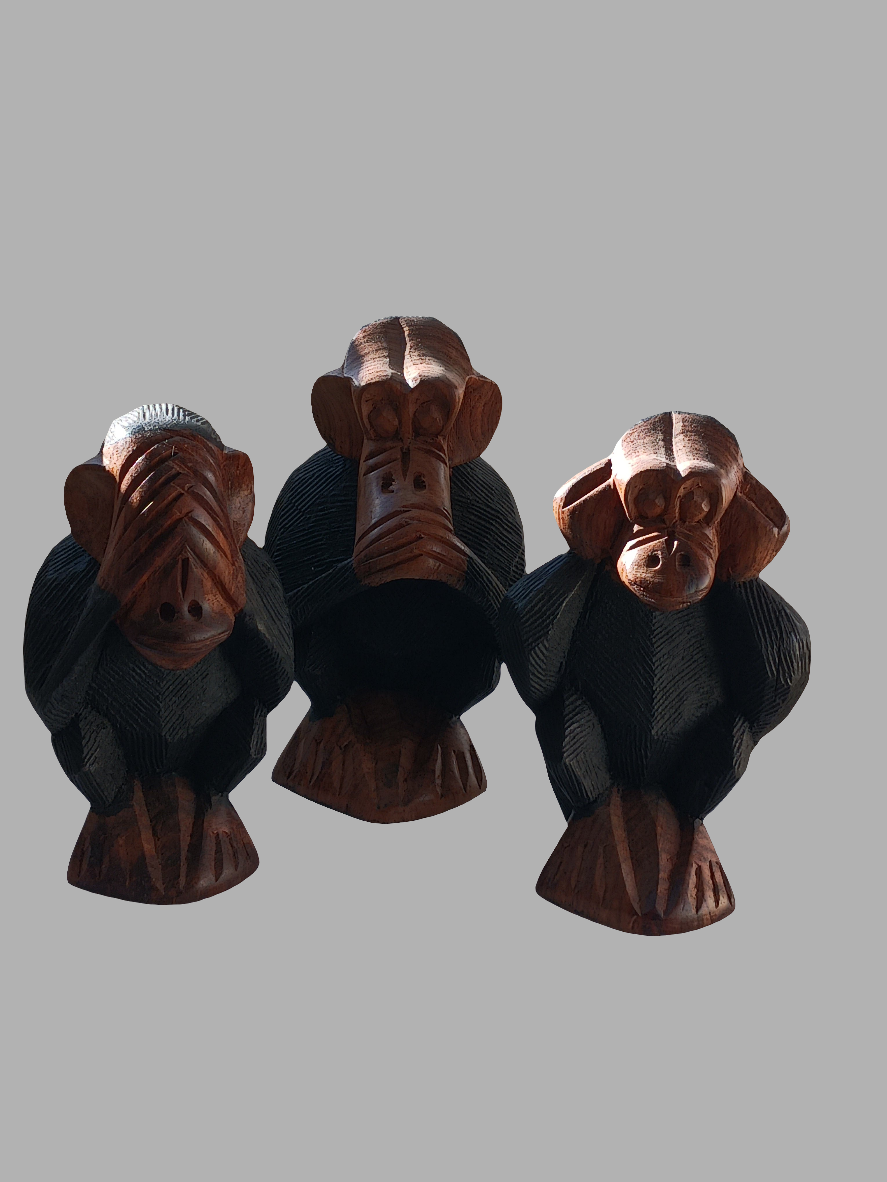 Les 3 singes de la sagesse