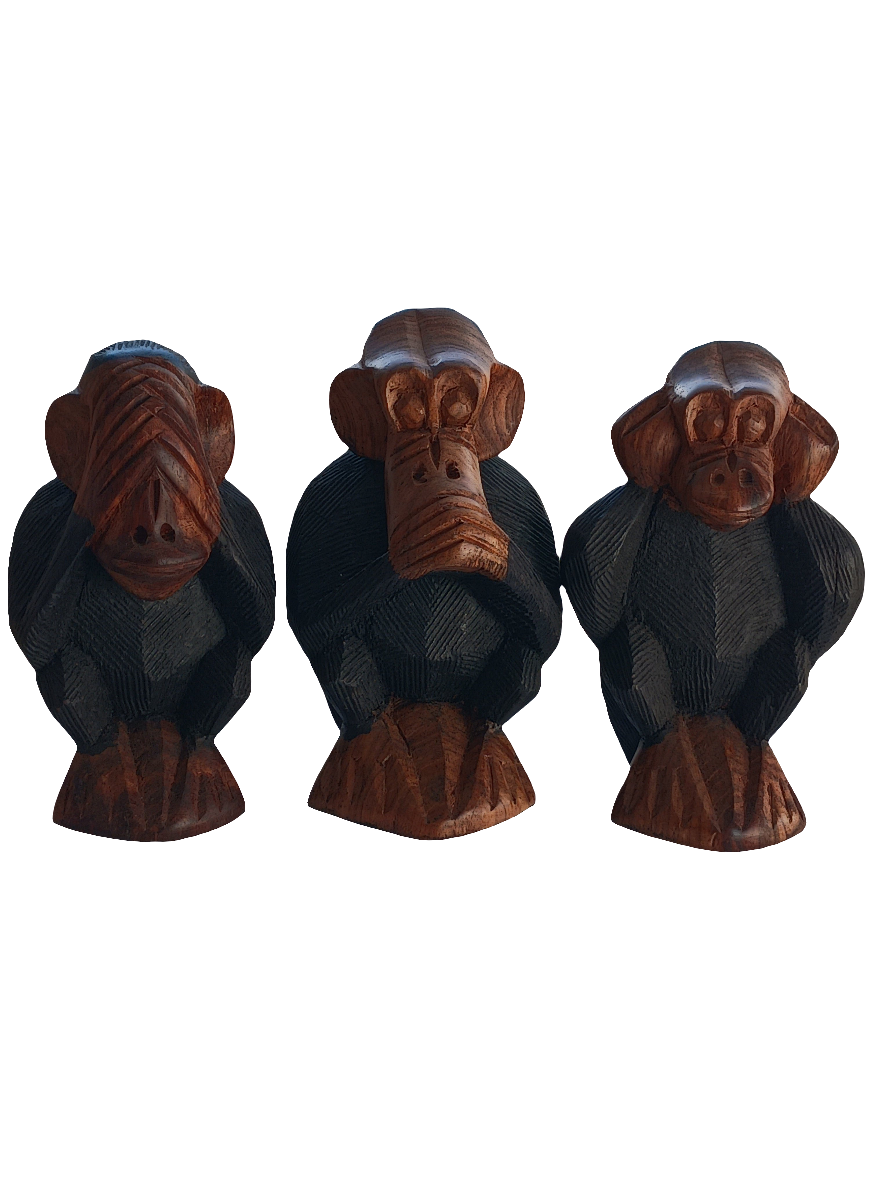 Les 3 singes de la sagesse