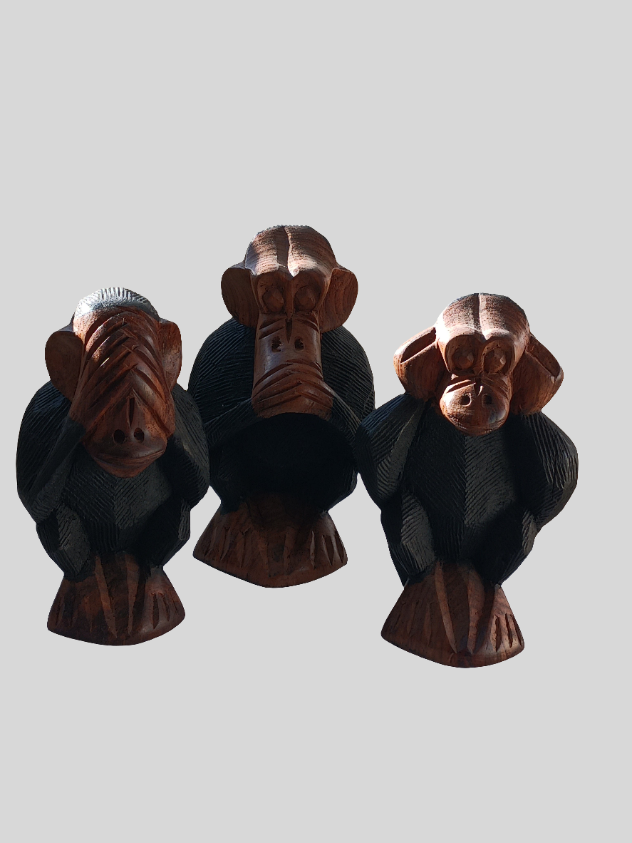 Les 3 singes de la sagesse