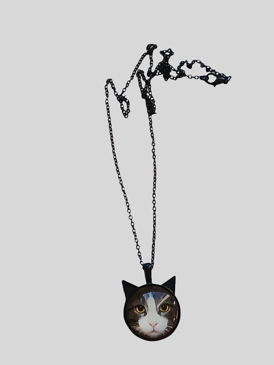 Collier chat