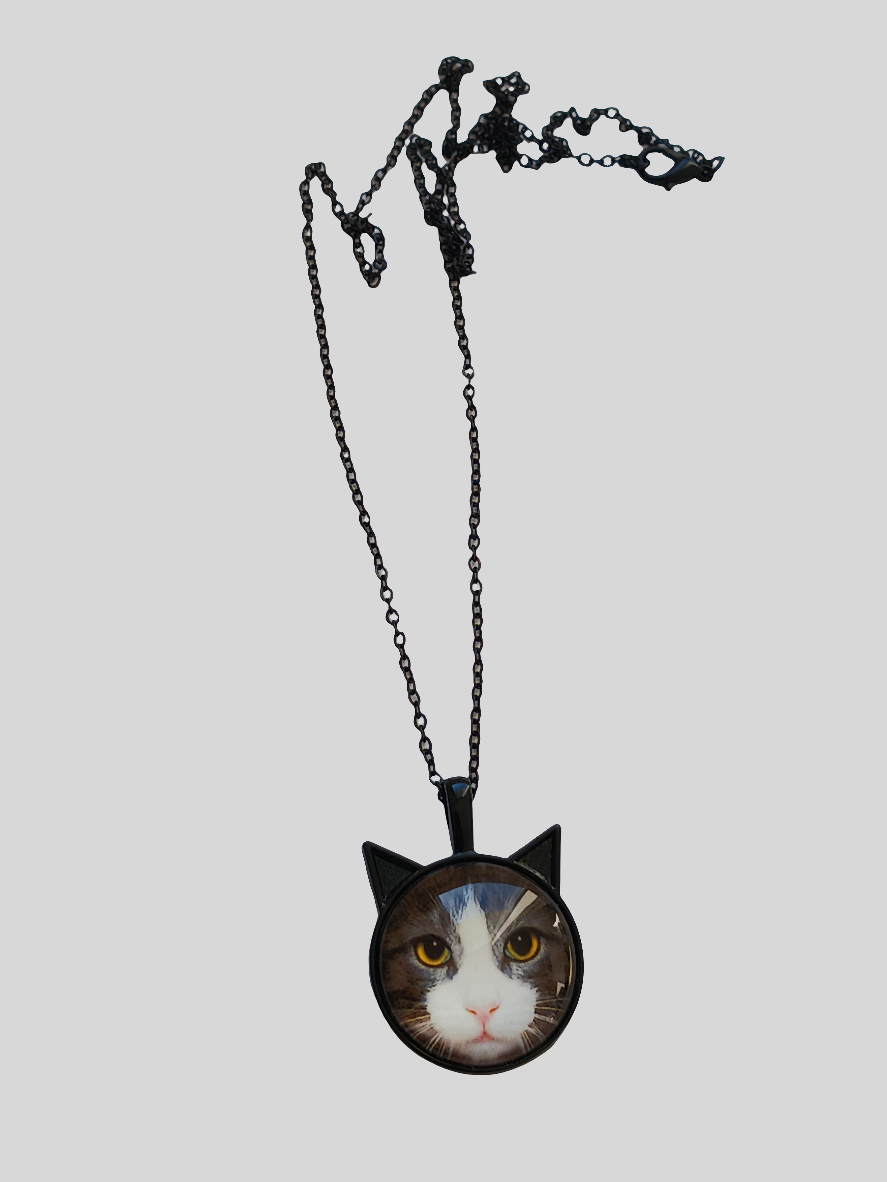 Collier chat