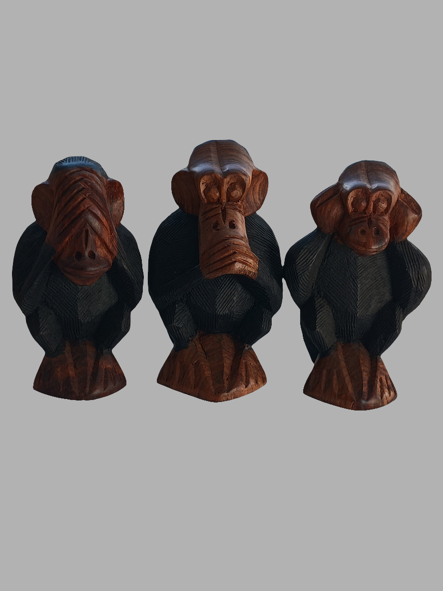 Les 3 singes de la sagesse