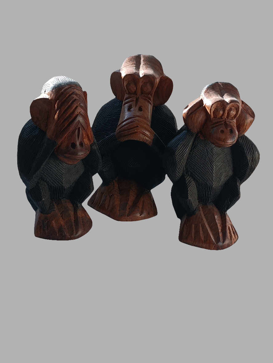 Les 3 singes de la sagesse