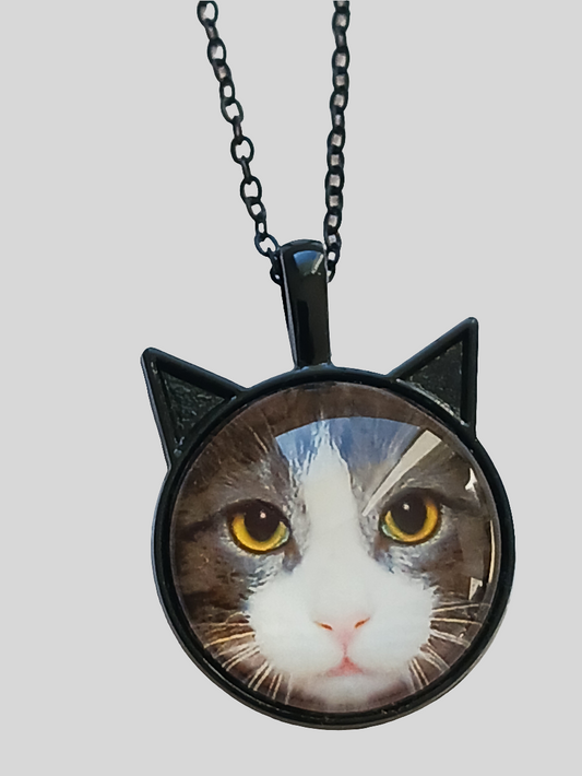 Collier chat