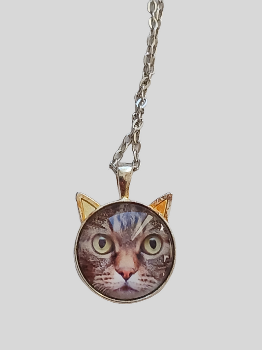 Collier chat