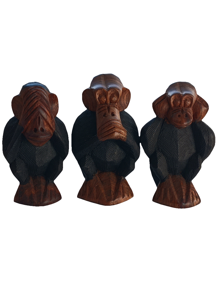 Les 3 singes de la sagesse